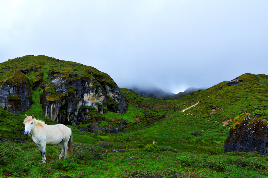 North Sikkim Guide - What to carry?